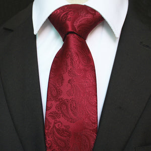 Celino Men's Neck Tie Premium European Made with Gift Box[Burgundy Paisley]