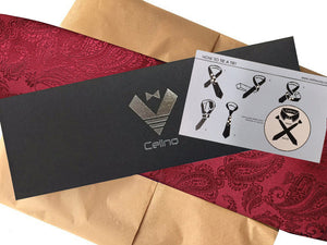 Celino Men's Neck Tie Premium European Made with Gift Box[Burgundy Paisley]
